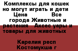 Комплексы для кошек, но могут играть и дети › Цена ­ 11 900 - Все города Животные и растения » Аксесcуары и товары для животных   . Карелия респ.,Костомукша г.